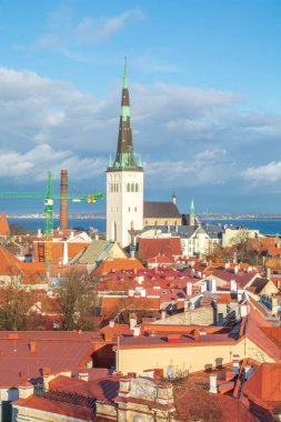 Tallin eski şehir manzarası, Estonya.