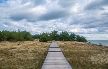 Wood path way among the trees of Curonian Spit . clipart