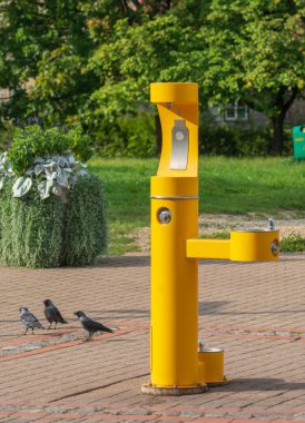 Letonya 'nın Cesis caddesinde modern Sarı su vinci.