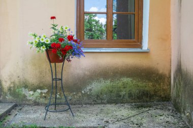 Eski bir evin duvarında eski tarz bir saksı duruyor..