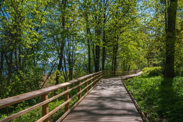 Jugla Gölü 'nün etrafında yürüyüş parkuru. .