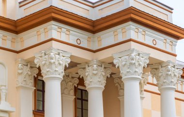 Dekoratif metal işlemeli demir çit. .