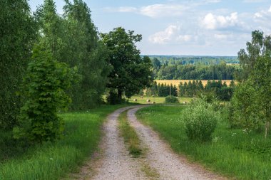 Göletin kenarındaki eski ahşap bank. .