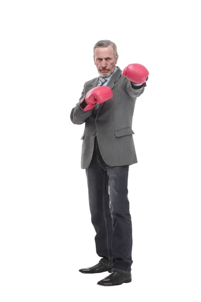 Senior Businessman Wearing Gray Suit Boxing Gloves Victory Pose Smiling — Stock Photo, Image