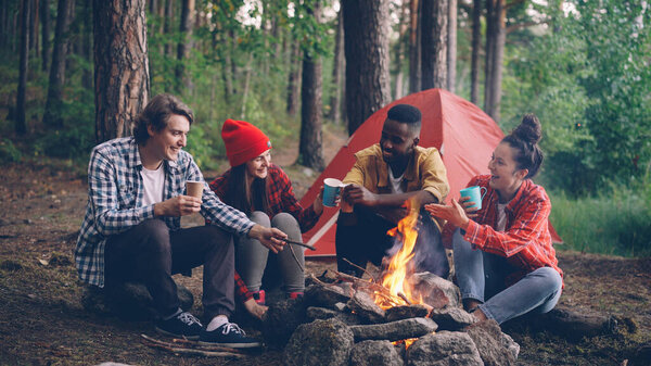 многорасовая группа друзей кавказский и афроамериканец сидят в лесу вокруг огня в очках, разговаривая и улыбаясь, яркое пламя движется.