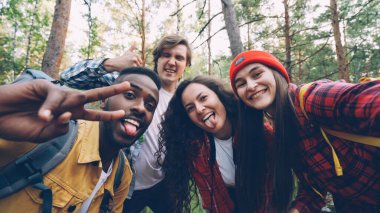 Arkadaşlar yolcuları çok ırklı grup içinde kamera komik suratlar ve trendy hareketleri ile poz, ahşap seyir selfie alıyor. Millennials modern turistik kıyafeti giymiş.
