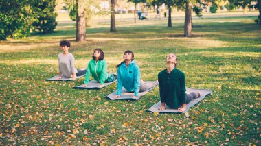 Çekici kız trendy spor giyim arkaya yoga egzersizleri paspaslar Park üzerinde sıcak sonbahar gününde yapıyoruz. Sağlık, aktif yaşam tarzı ve rahatlatıcı gençler kavramı.