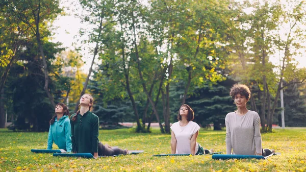 Slender Girls Trendy Sportswear Doing Yoga Together Group Outdoor Class — Stock Photo, Image
