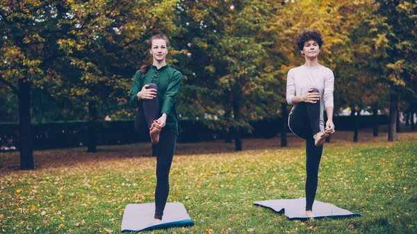 Пара Привлекательных Девушек Делают Йогу Парке Практикуя Балансировку Упражнения Стоя — стоковое фото
