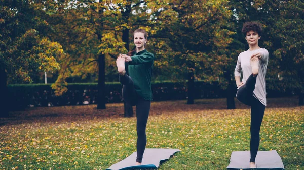 Пара Привлекательных Девушек Делают Йогу Парке Практикуя Балансировку Упражнения Стоя — стоковое фото
