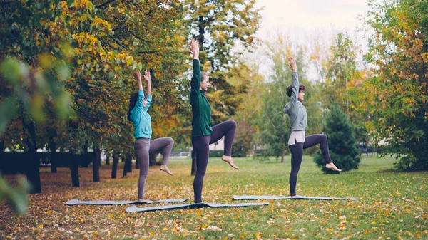 Vista Laterale Tre Ragazze Magre Che Fanno Yoga Nel Parco — Foto Stock