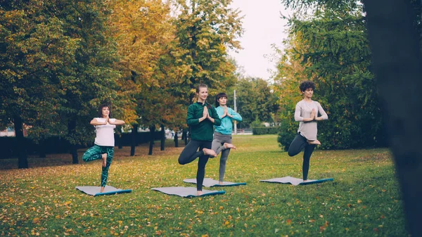 Smukke Piger Sportstøj Praktiserer Yoga Laver Variationer Tree Position Flytter Stock-billede