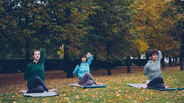 Relaxed females are sitting on yoga mats in Cow Face pose and stretching arms while professional instructor is speaking explaining correct position during practice in park.