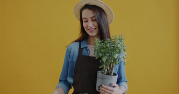 Retrato Jovem Jardineiro Avental Segurando Planta Sala Instrumento Poda Fundo — Vídeo de Stock