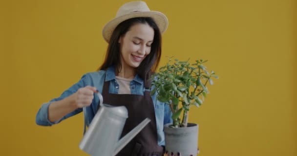Retrato Florista Feminino Alegre Regando Planta Pote Sorrindo Olhando Para — Vídeo de Stock
