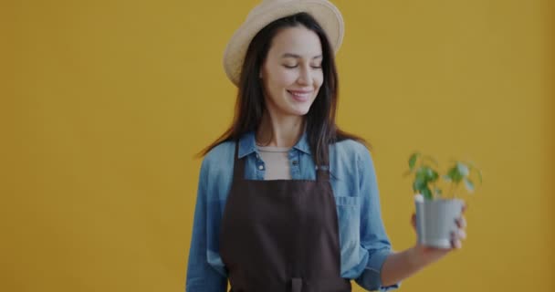 Portret Wesołej Kwiaciarni Podnoszącej Ręce Rośliną Doniczkową Nożyczkami Przycinania Żółtym — Wideo stockowe