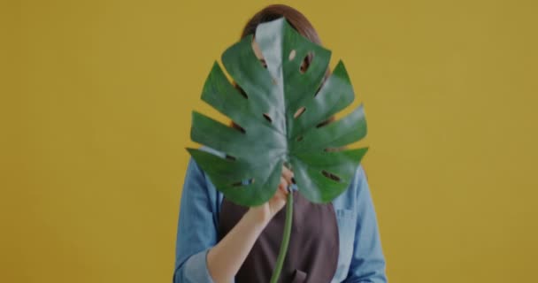 穿着围裙的年轻女花匠的画像 她拿着绿色的大叶子 在黄色的背景上微笑 园艺和专业职业概念 — 图库视频影像