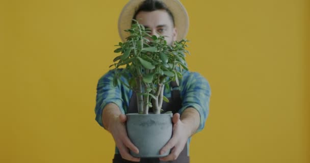 Slow Motion Porträtt Ung Man Trädgårdsmästare Stretching Armar Med Grön — Stockvideo