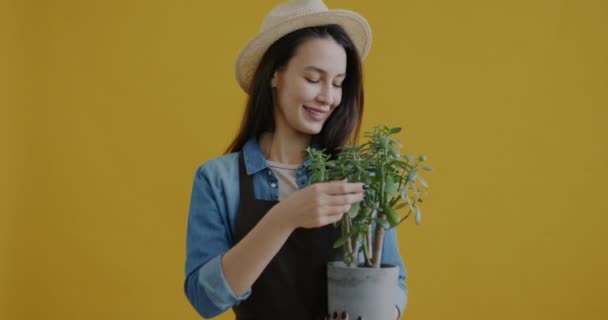 黄色の背景にカメラを見て笑顔の観葉植物の明るい花のチェックの葉の肖像画 エプロンと藁帽子を被った若い女性 — ストック動画