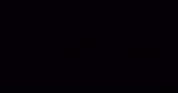 Портрет Молодого Чоловіка Який Одягає Капот Дивиться Камеру Миготить Червоним — стокове відео