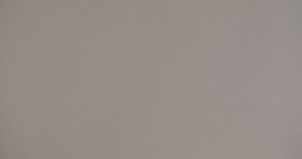 Крупним Планом Рука Кладе Шкіряний Гаманець Наповнений Грошима Бежевому Кольорі — стокове відео