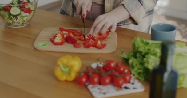 Portrait Dressé Une Dame Heureuse Coupant Des Légumes Pour Salade — Video