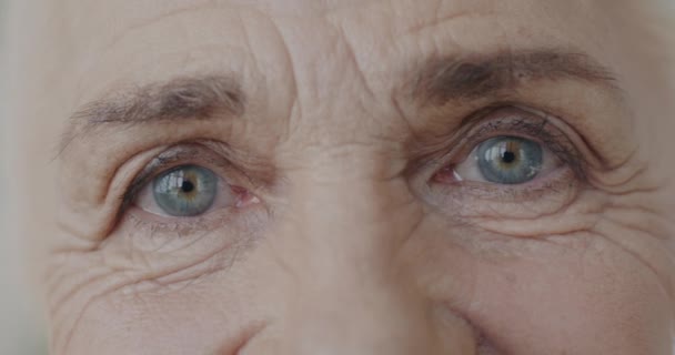 Retrato Cerca Una Anciana Agradable Mirando Cámara Expresando Emoción Positiva — Vídeo de stock