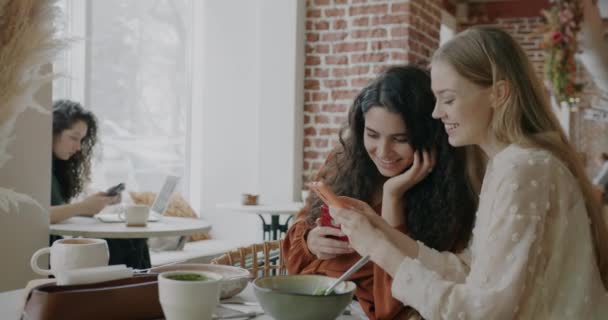 Lykkelige Unge Kvinner Som Ser Smarttelefon Mens Snakker Innhold Ved – stockvideo