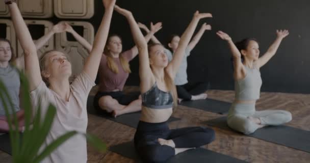 Grupo Mujeres Jóvenes Ropa Deportiva Haciendo Yoga Estudio Disfrutando Ejercicios — Vídeos de Stock