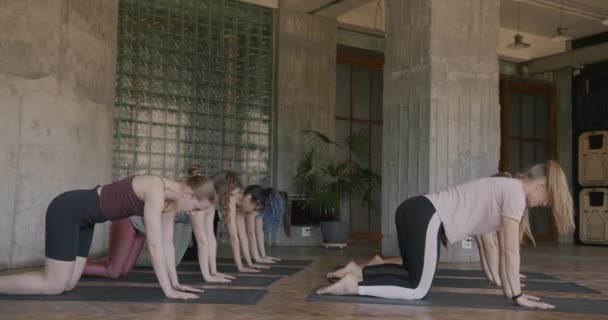 Groep Vrouwelijke Yoga Studenten Trainen Samen Genietend Van Gezonde Praktijk — Stockvideo