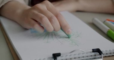 Kadın ressamın, masadaki pastel boyalarla çalışarak kağıt üzerine güzel bitkiler çizdiği yakın plan. Sanatsal işgal ve kültür kavramı.