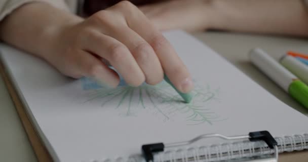 Close Artista Feminina Desenhando Bela Planta Papel Trabalhando Com Lápis — Vídeo de Stock