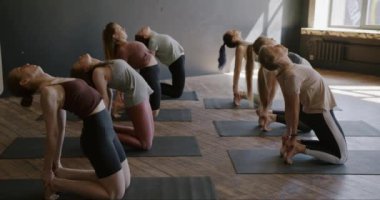 Yoga yapan genç kadınların yavaş çekimde evde derslerden keyif almaları. Sağlıklı yaşam tarzı ve fiziksel aktivite kavramı.
