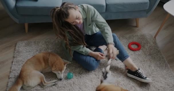 俯瞰快乐的年轻女子和可爱的小狗狗玩耍 而另一条小狗睡在地毯上的情景 家庭动物和休闲娱乐的概念 — 图库视频影像