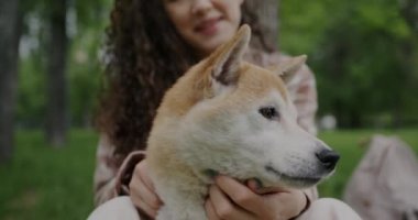 Kadın sahibinin Shiba Inu köpeğini okşayarak öptüğü ve parkta sevgisini ifade ettiği yakın plan. Duygular ve evcil hayvanlar konsepti.