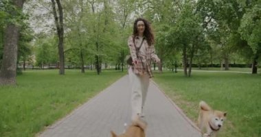 Parkta iki sevimli Shiba Inu 'yu gezdirirken çekilen neşeli genç bayan köpek gezdirici. Hayvanlar ve aktif yaşam tarzı konsepti.