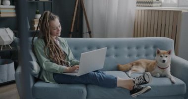 Kız öğrenci evde dizüstü bilgisayar kullanırken Shiba Inu köpeği oturma odasında kanepede yatıyor. Modern yaşam tarzı ve eş hayvan konsepti.