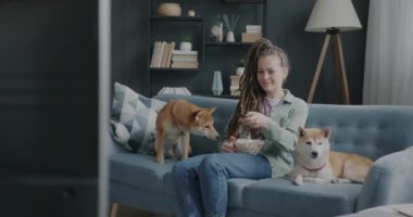 TV izleyen ve evdeki kanepede oturmuş gülümseyen şirin Shiba Inu köpeklerini okşayan genç bir kadın. Kitle iletişim araçları ve yerli hayvan konsepti.