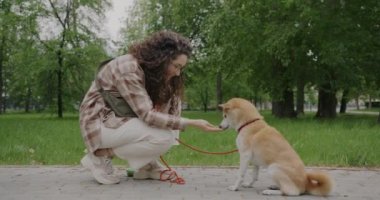Sevgi dolu bir kadın Shiba Inu köpeğine yemek veriyor ve evcil hayvanla oynuyor. Yazın yeşil parkta eğleniyor. Hayvanlar ve insanlar arkadaşlık kavramı.