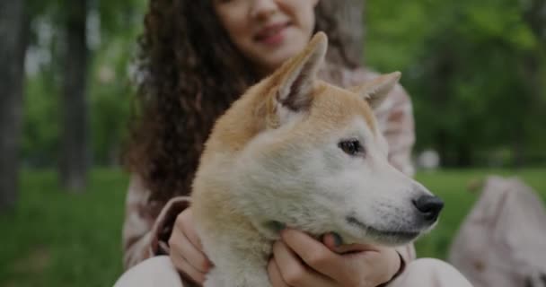 園内で愛とケアを表現した柴犬とのキスや撫でる女主人のクローズアップ 感情と家畜の概念 — ストック動画