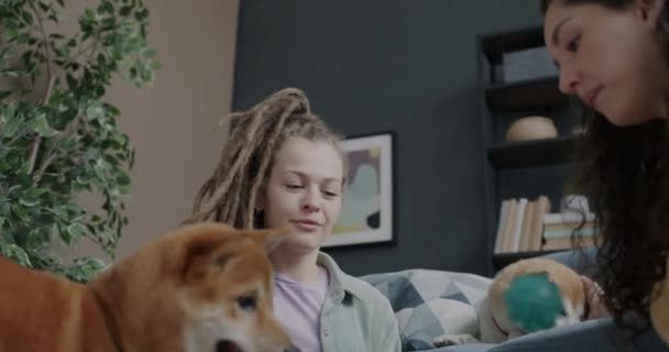 Chicas Felices Jugando Pelota Con Cachorro Shiba Inu Mientras Perro — Vídeos de Stock