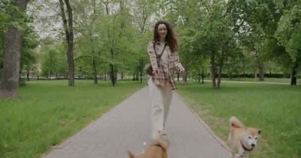 多莉拍了一张快乐的年轻女子遛狗人在公园里散步的照片 两只可爱的小猪在公园里笑着享受户外散步的乐趣 动物和积极生活方式概念 — 图库视频影像