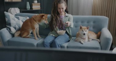 TV izleyen ve evdeki kanepede dinlenen sevimli Shiba Inu köpeklerini okşayan bir kız. Evcil hayvan konseptiyle boş zaman aktivitesi ve eğlence.