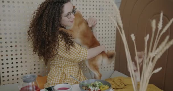 年轻女子在爱抚爱抚的咖啡店里 慢动作地拥抱和抚摸可爱的狗 表达爱意 动物和情感概念 — 图库视频影像