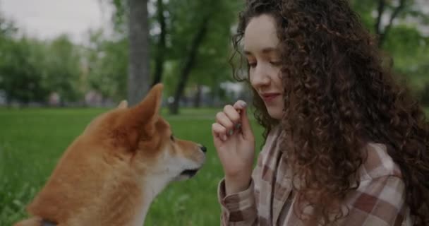 有爱心的女人慢吞吞地喂狗 一边和宠物玩耍 一边笑着在公园里玩乐 户外运动快乐日与家畜的概念 — 图库视频影像