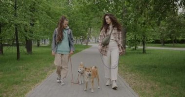 Dolly 'nin genç bayan arkadaşları Shiba Inu köpeklerini gezdirirken ve parkta yaz gününün tadını çıkarırken. Arkadaşlık ve hayvan bakımı kavramı.
