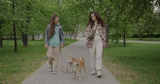 Dolly Πυροβόλησε Νεαρές Γυναίκες Φίλους Πόδια Shiba Inu Σκυλιά Και — Αρχείο Βίντεο