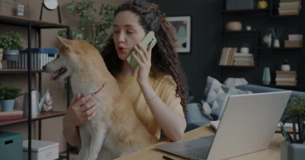 在公寓里 年轻的自由职业女作家一边用手机聊天 一边抱着可爱的小狗狗 家畜和自由职业概念 — 图库视频影像