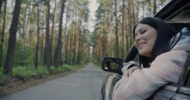 Gyönyörű Fiatal Néz Erdő Kívülről Autó Ablak Mosolyog Miközben Férfi — Stock videók