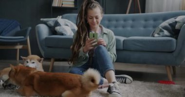 İki şirin shiba inu köpeği yerde oyuncaklarla oynarken genç bir kadın akıllı telefon kullanıyor ve gülümsüyor. Evcil hayvanlar ve modern yaşam tarzı konsepti.